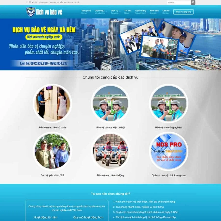 Thiết kế website công ty