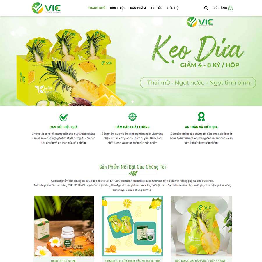 Thiết kế website thực phẩm chức năng 17