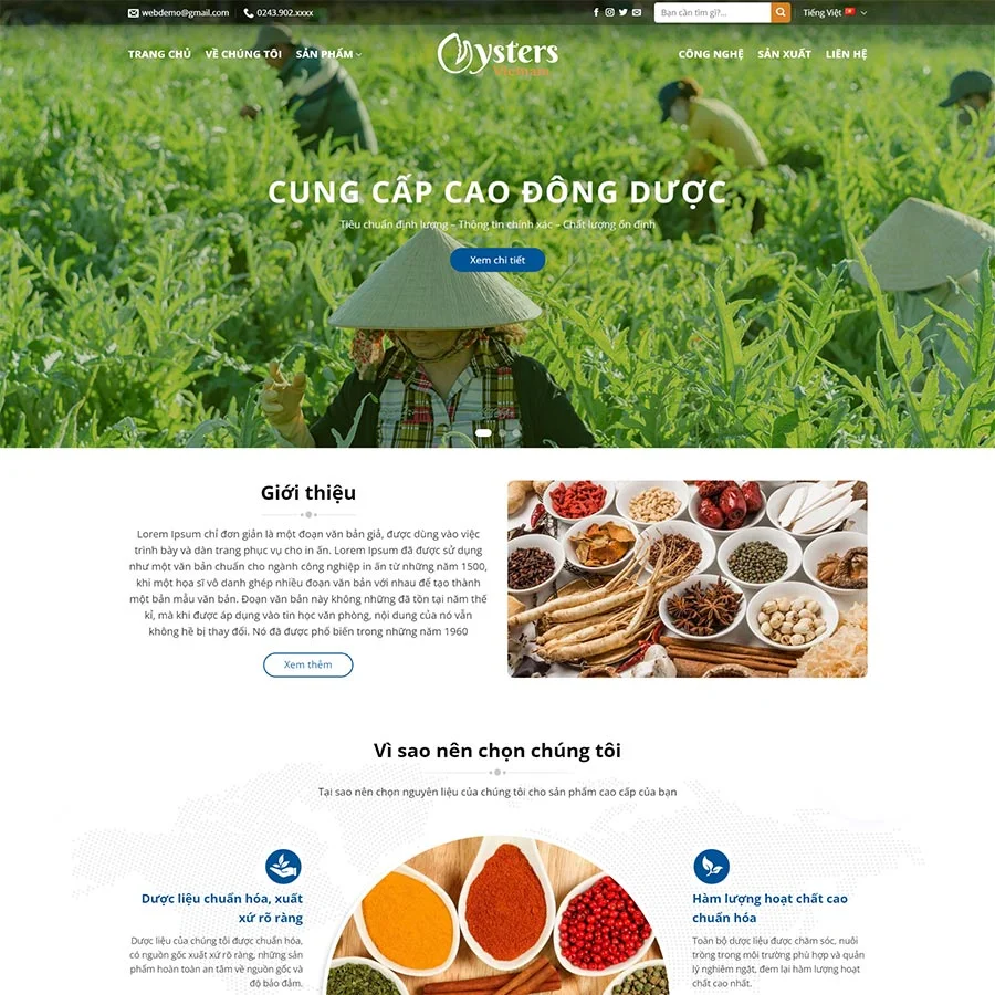 Thiết kế website thực phẩm chức năng 23