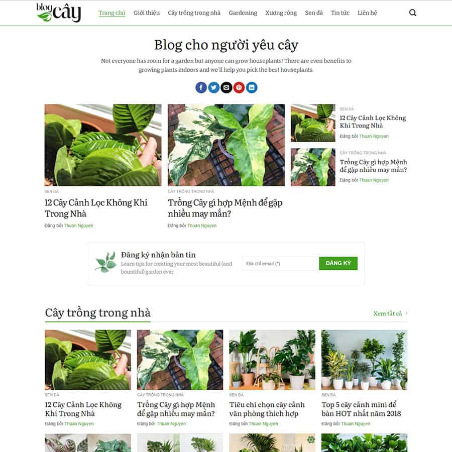 Thiết kế website tin tức 12